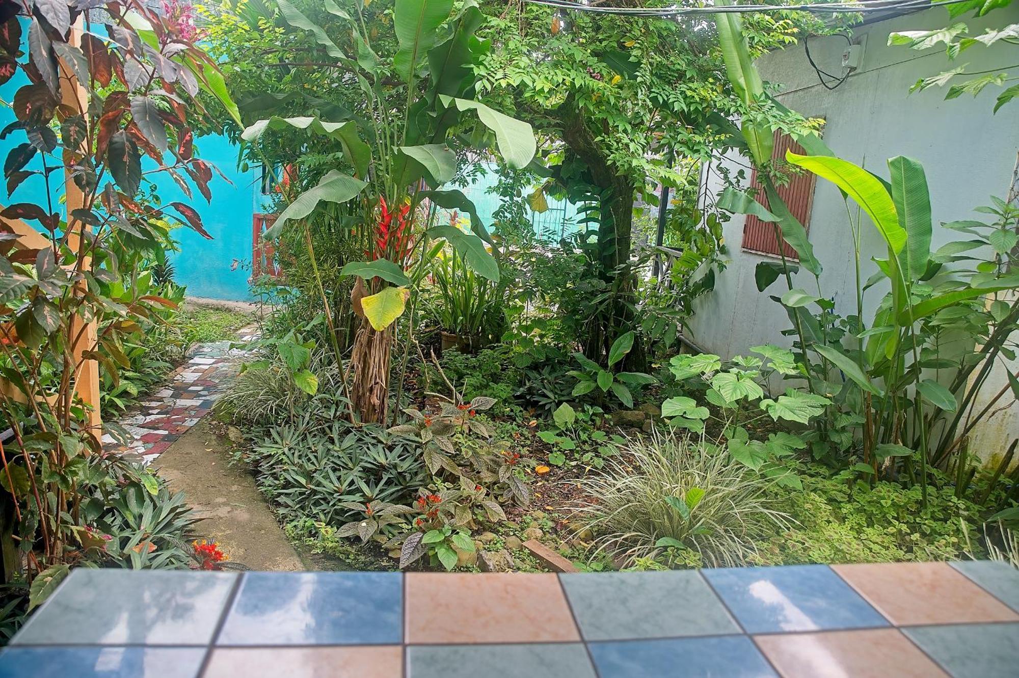 ホテル Mar Caribe Pv Puerto Viejo de Talamanca エクステリア 写真